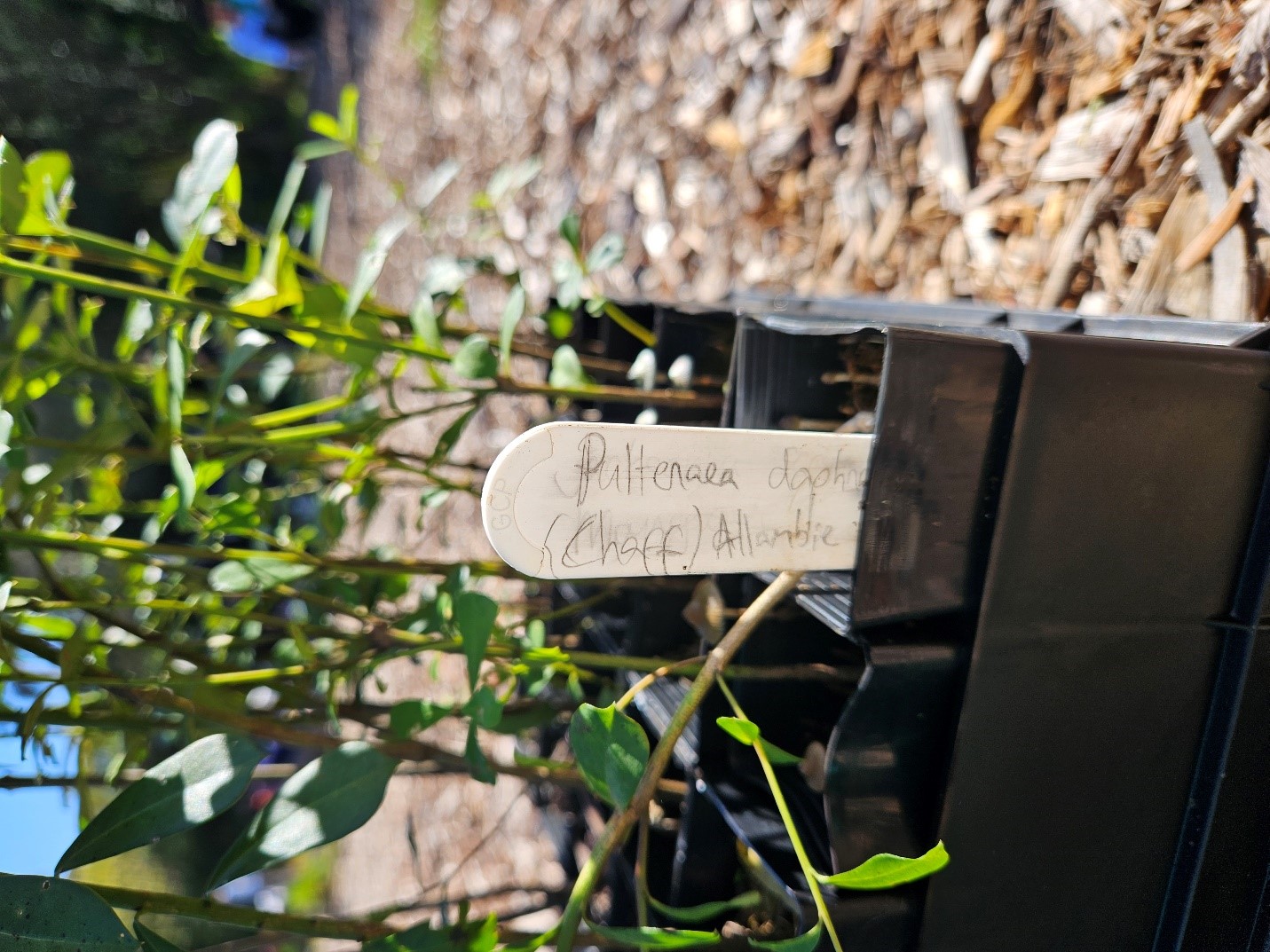 250409_配图3_Hanshow Partners with Greater Sydney.jpg